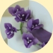 Casablana lily and purple freesa Wedding Cake